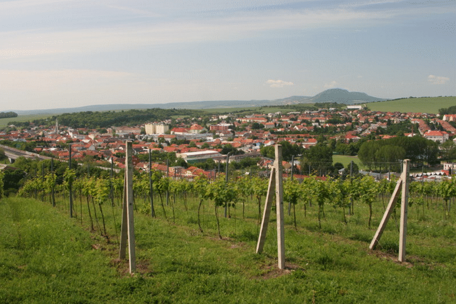 Altenberk Vini